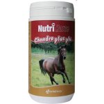 Nutri Horse Chondro Plus 1 kg – Zboží Mobilmania
