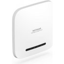 Netgear WAX220-100EUS