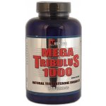 Mega Pro Mega Tribulus 1000 200 tablet – Hledejceny.cz