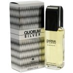 Antonio Puig Quorum Silver toaletní voda pánská 100 ml – Hledejceny.cz