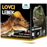 Albi Lovci lebek Pachycephalosaurus – Zboží Dáma