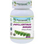 Planet Ayurveda Chanca Piedra extrakt 10:1 500 mg 60 kapslí – Hledejceny.cz