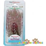 Tetra rostlina Red Foxtail Plus 15 cm – Zboží Dáma