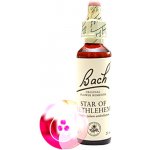Bachovy květové esence Snědek okoličnatý Star of Bethlehem 20 ml – Hledejceny.cz