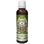 Naděje Zlatice mix tinktura speciální výluh z bylin 50 ml – Hledejceny.cz
