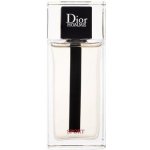 Dior Dior Homme Sport 2021 toaletní voda pánská 75 ml – Sleviste.cz