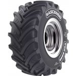 Ascenso 800/70SGR 38 VDR2000-1-W 187D TL