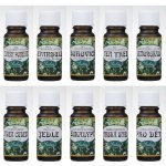 Saloos esenciální olej Smrk 10 ml – Zboží Mobilmania