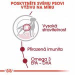 Royal Canin Medium Adult 10 x 140 g – Sleviste.cz