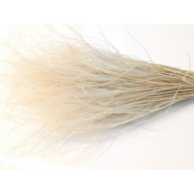 Sušená travina Stipa přírodní svazek 25g – Zboží Dáma