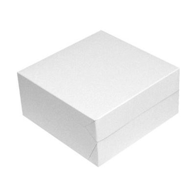 Krabice dortová 20x20x10cm 100008366