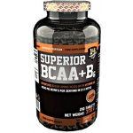 Superior 14 BCAA + B6 400 tablet – Zboží Dáma
