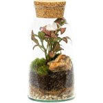 Gardners Skleněná dóza Syringa s korkovým špuntem, 18x9,5 cm - osázené vlhkomilně – Hledejceny.cz