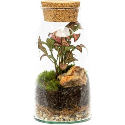 Gardners Skleněná dóza Syringa s korkovým špuntem, 18x9,5 cm - osázené vlhkomilně – Hledejceny.cz
