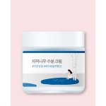 Round Lab Birch Juice Moisturizing Cream s březovou šťávou 80 ml – Zbozi.Blesk.cz