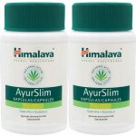 Himalaya AyurSlim 60 kapslí – Hledejceny.cz