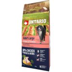 Ontario Adult Large Chicken & Potatoes 20 kg – Hledejceny.cz