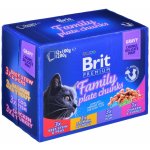 BRIT Premium Cat kapsa Family Plate 1200g (12x100g)