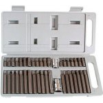 Sada bitů HEX-TORX-XZN, 40ks, CrV, EXTOL CRAFT – Zboží Mobilmania