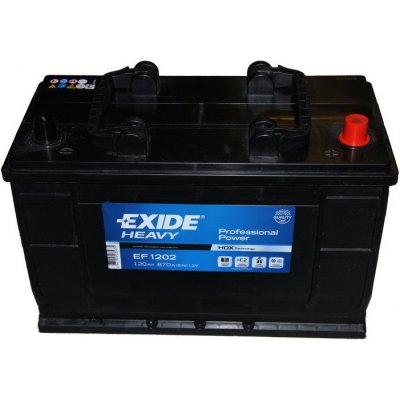 Exide Professional Power 12V 120Ah 870A EF1202