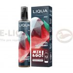 Ritchy Liqua Mix&Go Cool Raspberry 12 ml – Zboží Mobilmania