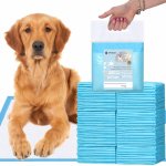 Springos Tréninková podložka pro štěňata 60 x 90 cm PA2021 100 ks – Hledejceny.cz