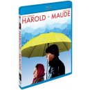 Harold a Maude BD