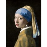 Plakát, Obraz - Dívka s perlou, Jan Vermeer, 30 × 40 cm – Hledejceny.cz