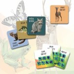 Albi Chytré kostky Zvířata ČR – Zboží Živě