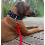 Dinofashion Stopovací vodítko pro velké psy – Zboží Dáma