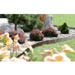 Prosperplast obrubník Rákos 3,9 m hnědá set 5 ks – Hledejceny.cz