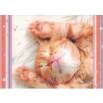 Pohlednice Kotě 111 – Zboží Dáma