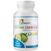 Doplněk stravy na hubnutí Grenera Garcinia Cambogia 500 mg Extract HCA 60% 90 kapslí