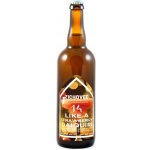 Zichovec Like a Strawberry Daiquiri SOUR ALE 14 6 % 0,75 l (sklo) – Zboží Mobilmania