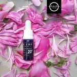 Fair CBD olej 20% 10 ml – Hledejceny.cz