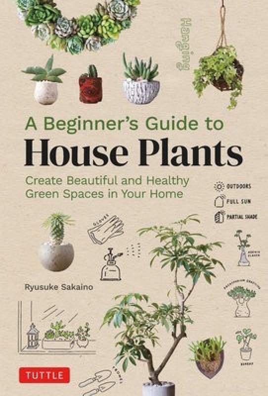 A Beginners Guide to House Plants: Creating Beautiful and Healthy Green ...