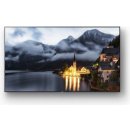 Sony Bravia FW-55XE9001