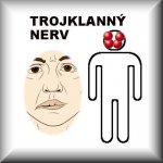 Jukl bylinná směs Trojklanný nerv 100 g – Hledejceny.cz