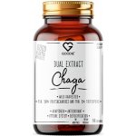 Chaga dual extrakt min.50 % polysacharidů, divoký sběr 60 kapslí – Hledejceny.cz