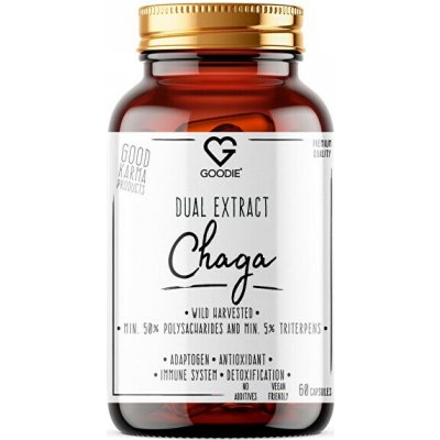 Chaga dual extrakt min.50 % polysacharidů, divoký sběr 60 kapslí – Hledejceny.cz