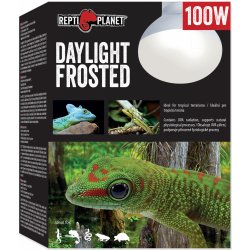Repti Planet Daylight Frosted 100 W