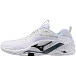 Mizuno Wave Stealth Neo 2.1 Unisex White Black – Hledejceny.cz