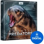 BOOM Library Aquatic Predators – Zboží Živě