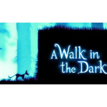 A Walk in the Dark