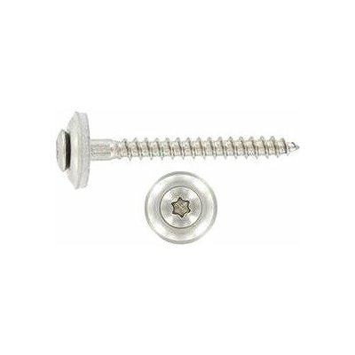 Klemp.šroub + EPDM, Torx 4,5 x 65 A2 / balení 200 ks – Sleviste.cz