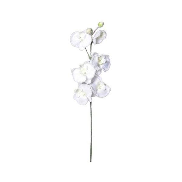 Květina Umělá zasněžená Orchidej bílá, 81 cm