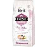 Brit Fresh Chicken with Potato Puppy Healthy Growth 2,5 kg – Hledejceny.cz