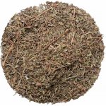 Nefertitis Tymián nať NF27871 20 g – Hledejceny.cz