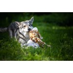 Multipet Swingin Safari žirafa plyš 48 cm – Zboží Dáma