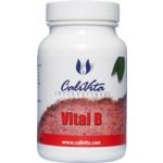 CaliVita Vital B 90 tablet – Hledejceny.cz